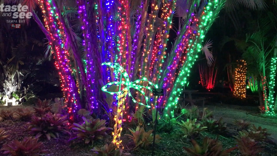 PHOTOS Christmas lights at the Florida Botanical Gardens in Largo